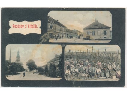 34 - Lounsko, Cítoliby, 3 záběr oživených partií obce, chmelnice, 1905