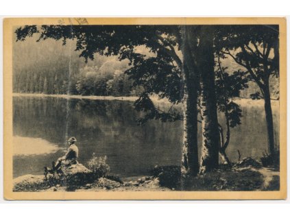 28 - Klatovsko, Šumava, oživená partie u Černého jezera, cca 1951