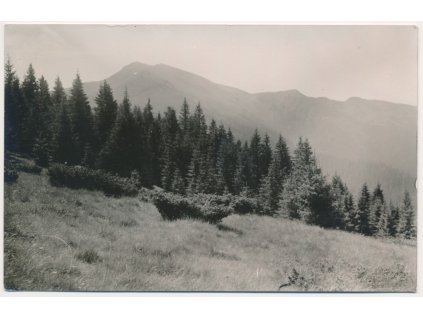 Ukrajina, Rachov, lesní partie, cca 1935