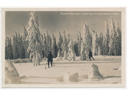 28 - Klatovsko, Šumava, oživená partie v sedle mezi Pancířem, cca 1929