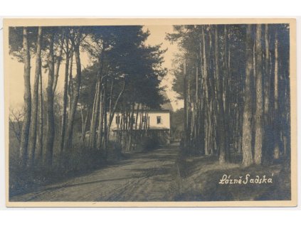 40 - Nymbursko, Lázně Sadská, lesní partie, cca 1930