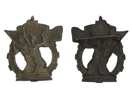 ČSSR, AE odznak Tyršův odznak zdatnosti, zavírací jehla, stav 1/1