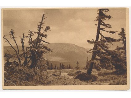 66 - Trutnovsko, Krkonoše, Studničná hora, cca 1921