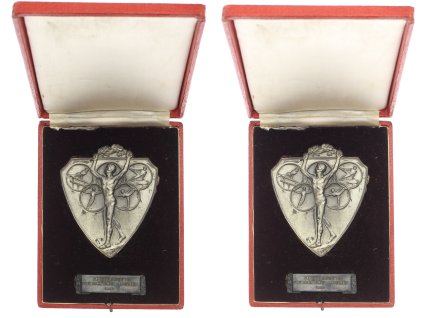 ČSSR, AE medaile Za vítězství v memoriálu Jiřího Pangráce, 1956, stav 1/1