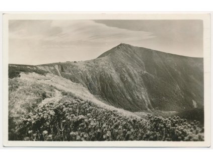 66 - Trutnovsko, Sněžka, nejvyšší hora Krkonoš, cca 1955