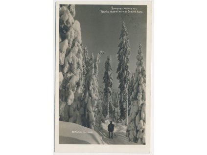 28 - Klatovsko, Šumava, oživený sjezd z Jezerní Hory do Železné Rudy, foto Jonák, cca 1928