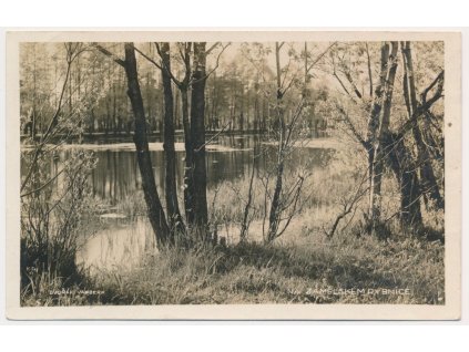 57 - Rychnovsko, Vamberk, partie na Zamělském rybníce, cca 1924