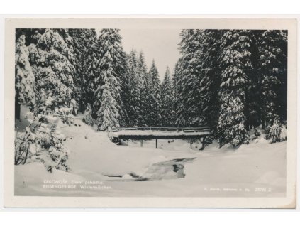66 - Trutnovsko, Krkonoše (Riesengebirge), Zimní pohádka, foto J. Slavík, cca 1935