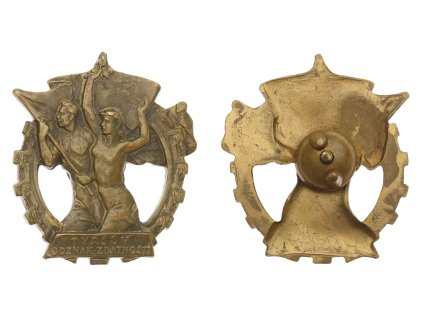 ČSR, AE Tyršův odznak zdatnosti, velký, šroubovací, krásný stav 1/1