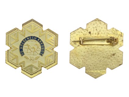 ČSSR, lyžování, AE odznak Po hřebenech Krkonoš, zavírací jehla, rozměr 30x30mm, stav 1/1