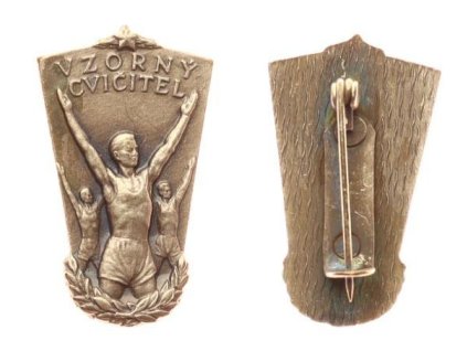 ČSSR, AE pamětní odznak Vzorný cvičitel, tombak, zavírací jehla, stav 1/1