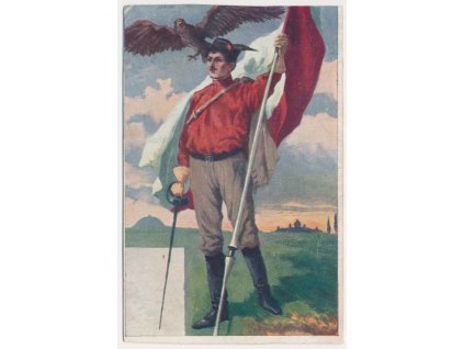 Sokol, VII. slet všesokolský v Praze 1920