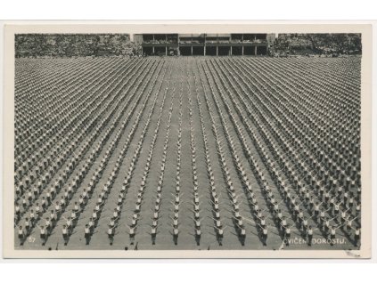 Sokol, X. slet všesokolský v Praze 1938, Cvičení dorostu