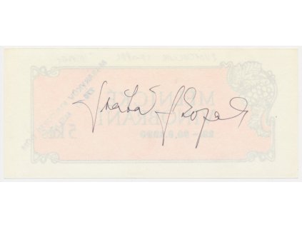 Skopal Svatopluk (1951), český herec, vstupenka s vlastnoručním podpisem