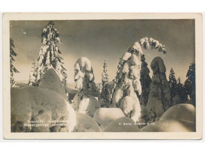 66 - Trutnovsko, Krkonoše, "Zimní pohádka", foto R. Slavík, cca 1929