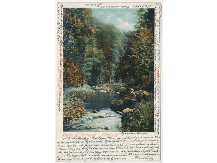 57 - Rychnov nad Kněžnou, Partie ve Včelném, "Ostrůvek", cca 1903