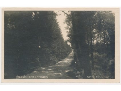 24 - Jindřichohradecko, Třeboň, Partie v Hradečku, cca 1925