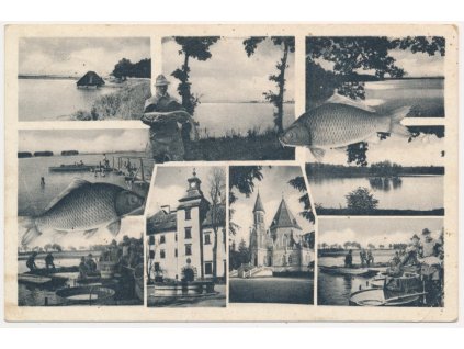 24 - Jindřichohradecko, Třeboň, 9-ti záběrová koláž, rybáři při výlovu, cca 1942