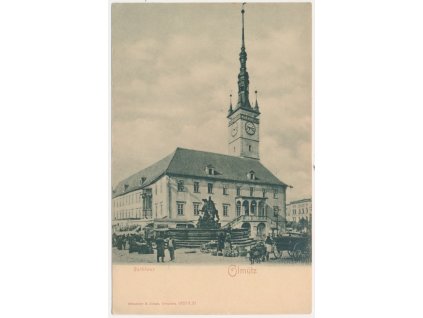 41 - Olomouc, oživená partie před radnicí, cca 1906