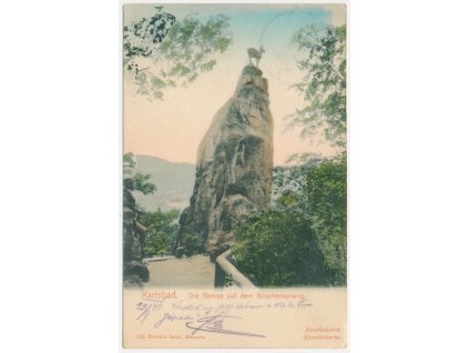 25 - Karlovy Vary (Karlsbad), Die Gemse auf dem Hirschensprung, ca 1906
