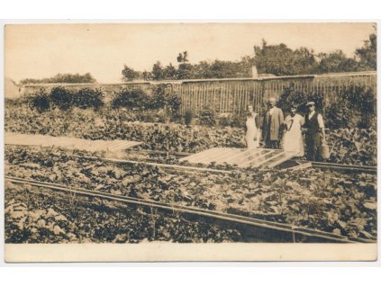 67 - Třebíčsko, Myslibořice, oživená partie z parku sociálního ústavu, cca 1935