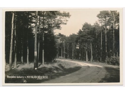 67 - Třebíčsko, Myslibořice, partie z lesa u soc. ústavu, cca 1935