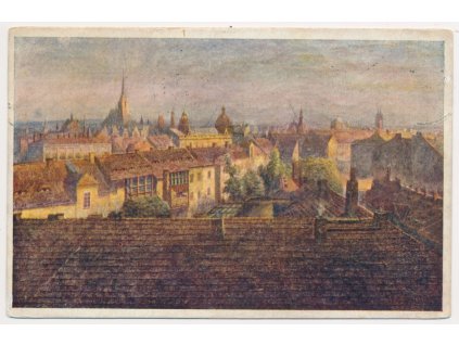 47 - Plzeň, Celkový pohled za jarního slunce, cca 1926