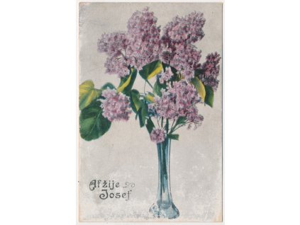 Blahopřejná pohlednice, Ať žije Josef, květiny ve váze - Šeřík, cca 1922