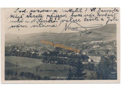 13 – Krumlovsko, Sušice, celkový pohled, ca 1925