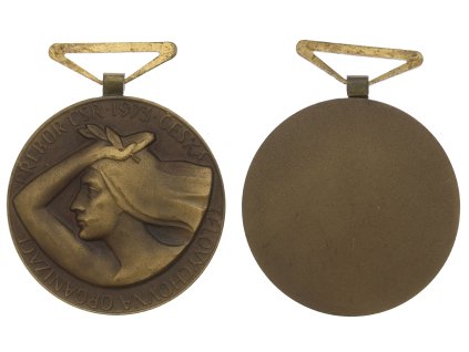 ČSSR, AE dekorace Přebor ČSR 1973, průměr 50mm, stav 0/0