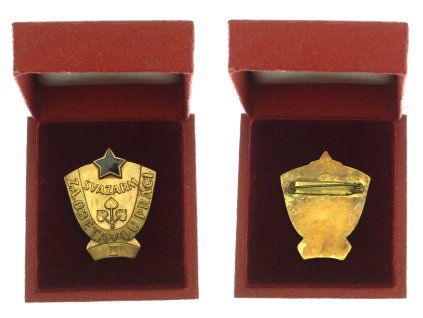 ČSSR, AE odznak Za obětavou práci - Svazarm, smalty, zavírací jehla, etue, stav 0/0