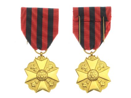 Belgie, AE medaile za službu ve státní správě, zlatý stupeň, stuha, stav 1/1/1