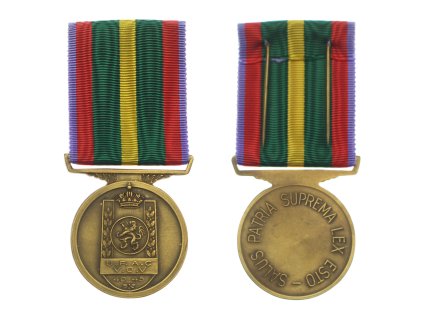 Belgie, Medaile Unie federací válečných veteránů, bronz, stuha, stav 1/1/1