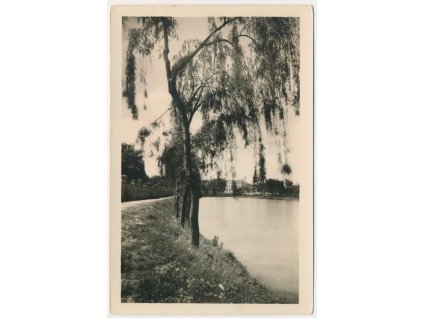 67 - Třebíčsko, Hrotovice, partie u řeky, cca 1950