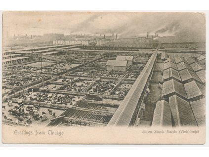 USA, Chicago, Union Stock Yards, cca 1905