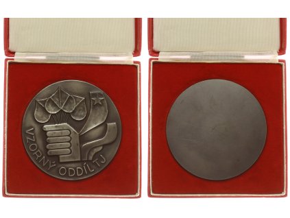 ČSSR, AE medaile Vzorný oddíl TJ, průměr 100 mm, masivní kus, původní etue, stav 1/1
