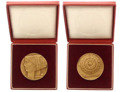 ČSSR, AE plaketa Ústřední výbor národní fronty, 1968, průměr 50 mm, etue