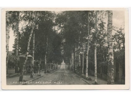 50 - Praha-východ, Lázně Toušeň, Březová Alej, cca 1940