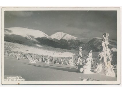 66 - Trutnovsko, Černý Důl, Krkonoše, zimní partie, cca 1936