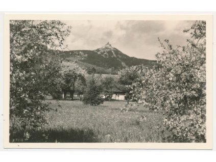 32 - Liberecko, pohled na Ještěd z rozkvetlých sadů, cca 1941