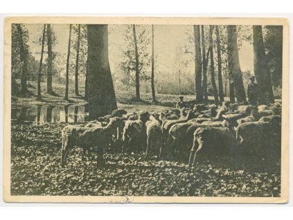 40 - Nymbursko, Poděbrady, oživená partie, "Podzim U kostelíčka",  1929