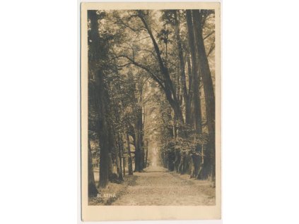 60 - Strakonicko, Blatná, partie z parku, stromová alej, cca 1929