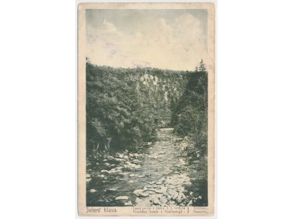 10 - Chrudimsko, Slatiňany, Jelení hlava, lesní partie z obory, cca 1911