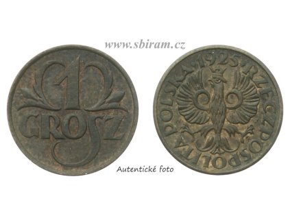 Polsko, mince 1 Grosz, 1925...viz autentické foto