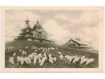 71 - Vsetínsko, kaple na Radhošti, partie s ovečkami, cca 1950