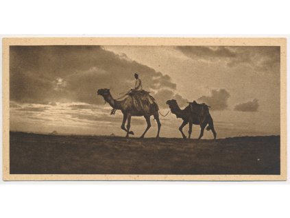 Egypt, Káhira, Eventide in the Desert, No. 15, cca 1920