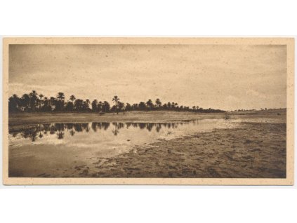 Egypt, Oasis by Twilight, No. 34, cca 1920