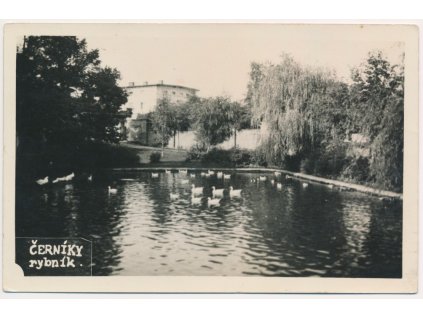 40 - Nymbursko, Černíky, partie u rybníku, cca 1942