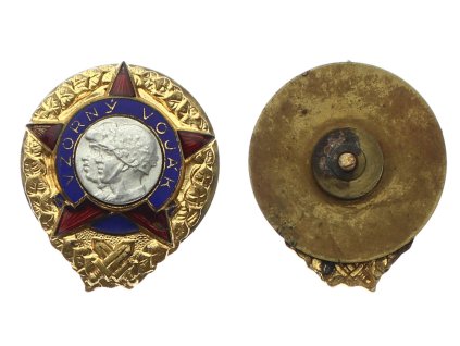 ČSSR, AE odznak Vzorný voják, šroubovací, stav odpovídající použití, uložení a stáří