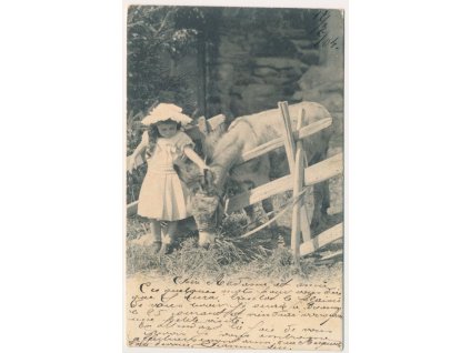 Holčička s oslíkem, prošlá poštou 1904
